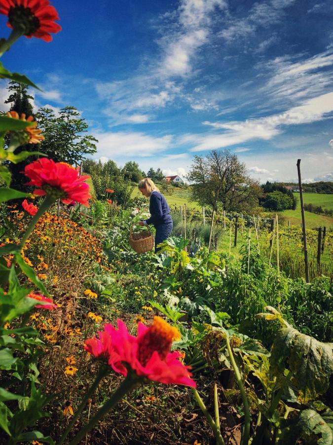 Landhaus Schaller Im Suedburgenland Lejlighed Maria Bild Eksteriør billede