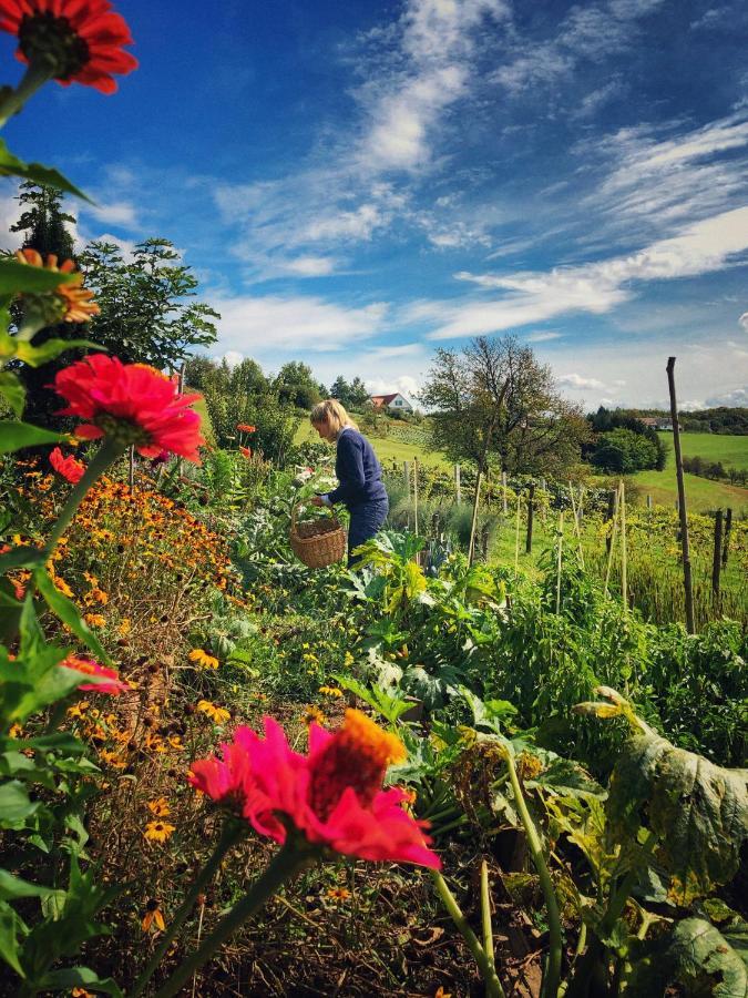 Landhaus Schaller Im Suedburgenland Maria Bild Eksteriør billede