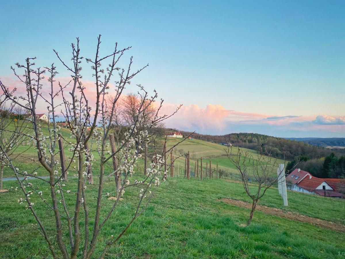 Landhaus Schaller Im Suedburgenland Maria Bild Eksteriør billede